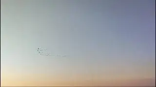 Cormorant birds fly towards the sun at sunrise