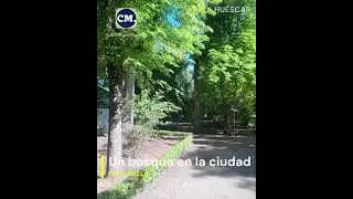 Un bosque en la ciudad. Deja huella. #shorts #huescar #parque #rodr&iacute;guez penalva #huella
