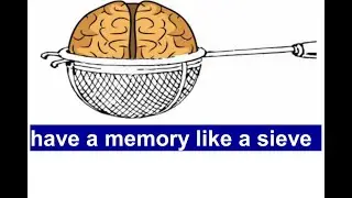 ENGLISH UNVEILED - SNIPPET OF ENGLISH have a memory like a sieve