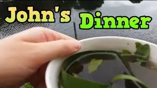 John Makes A Meal From The Wildlife! - Disgusting Food (John's Weight Loss Diaries) - Week 3