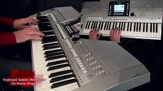 De Kleine Dingen - Keyboard Spelen Met Plezier deel 11