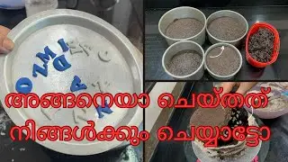 ChocolateTruffle 😍 Cake Recipe / Chocolate cake decoration/ Baking class / Rushaas Recipes