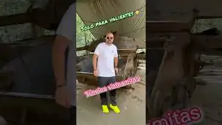 Nos metimos en los T&Uacute;NELES de Cuchi 😳 VIETNAM extremo 🇻🇳