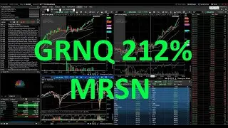 Stock GRNQ 212% and MRSN Technical Analysis