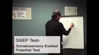 SSEP Testing- Support Claim Services
