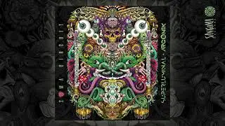Superluminal - Unperturbable Consciousness