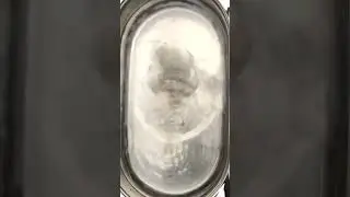 DIY coin cleaning made easy with ultrasonic waves!
