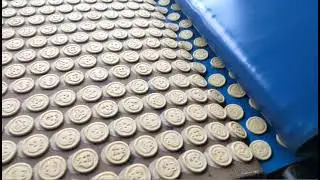 WENVA Soft Biscuit Production Line With Automatic Dough Feeding System