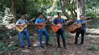 DIOS NOS AUMENTE LA FE, COMO LA FE QUE TUVO NOE