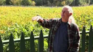 Wineries of Santa Clara Valley