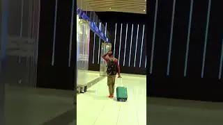 Mansini jiua taso laini  dwi bai