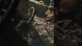 A Revolution on wheels
