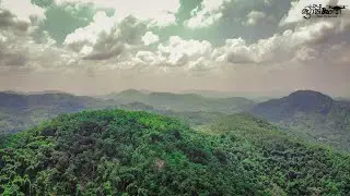 කවුරුත් නොදන්න Halwathura estate වල කතාව | Halwathura Estate, Ingiriya...#srilanka #dronevideo