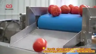 Automatic Tomato Washing-Drying-Quick Dicing Line