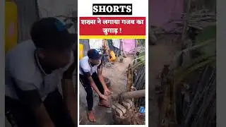 शख्स ने लगाया गजब का जुगाड़ ! #trendingnews #newswhizz #viral #latestnews #shortsvideo #amezingfact