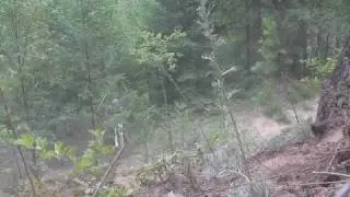 Jason McColl RM250 STEEP BANK & CRASH
