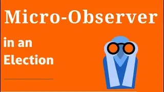 Roles, Duties and Responsibilities of Micro-Observer in an Election