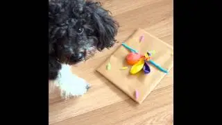 Cadeau-inpak-tips voor kinderfeestjes.wmv