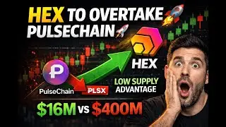 Reason Why HEX Will Outperform PulseChain in 2026