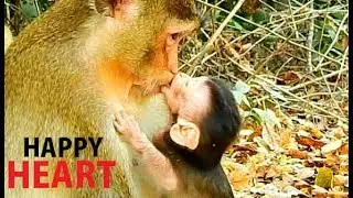 SMART ... BUT ... HOPELESS  !! Poor Alba do sweet act lull mom beg milk, Alba sad mom reject.