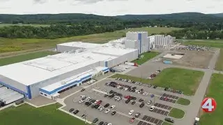Wastewater from cheese factory believed to have caused death of thousands of fish