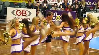 Tigers - Jules Lund - 