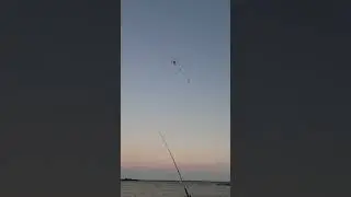 Throwing Fish Bait with Drone