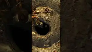 I don't know how this Ant Mound can be inaccessible (the ants are bigger than me) #fallout #newvegas