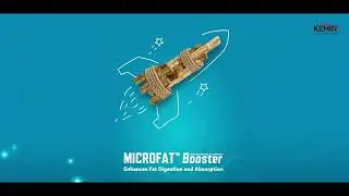 MICROFAT&trade; Booster: Growth enhancer for cows and buffaloes calves