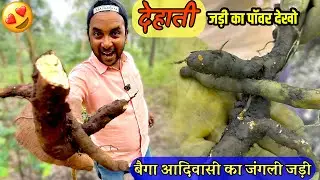 Baiga Adivasi Jadi Buti Power 😍|| Baiga Tribe Wildherbs Power 😃|| 