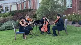 Pink Pony Club - Chappell Roan - String Quartet