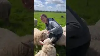 Thursday 19th May 2022 farm highlights with the animals of Caenhill Countryside Centre and Zoe