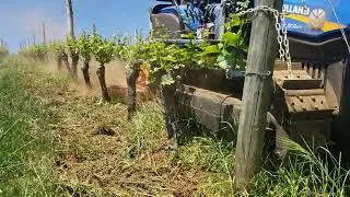 Rinieri EL 90 In-Row Cultivator at Cristom Vineyards