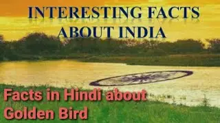 Interesting facts about India in Hindi | Top 10 unknown facts about India | omg facts about India