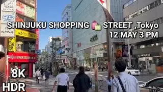 Tokyo 4k Walk |Shinjuku Shopping street Walking Tour |May 2024 |新宿ショッピングセンター #tokyo #shinjuku #Japan