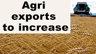 $35.4 bln worth of Russian agri exports by 2025
