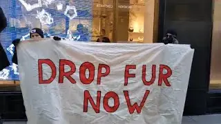NYPD Posts Up at Fendi as Animal Activists Protest on Fur-Free Friday