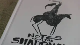 Notes From the Shadowed City by Jeffrey Alan Love Book Preview