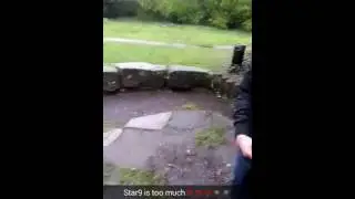 Shit den