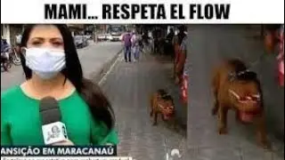 MEMES RANDOM #6👌😂 / Memes que tengo