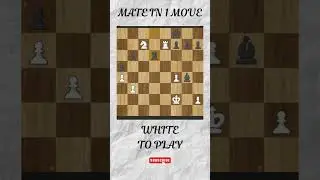 Mate in 1 move🤔 #chess #shorts  #riddles