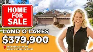 HOUSE FOR SALE IN LAND O LAKES, Florida