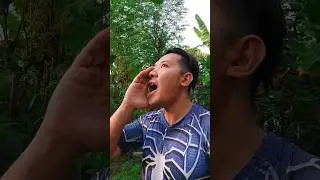 Dikejar Monyet 