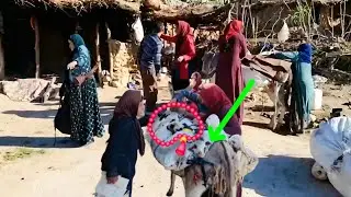 Unseen Life & Journey of Iran’s Nomadic Women Through Dangerous Mountain Paths