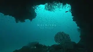 Undewater Reel 15 | MALDIVES. Baa atoll.