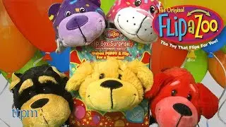 FlipaZoo Flip Box Surprise from Jay @ Play