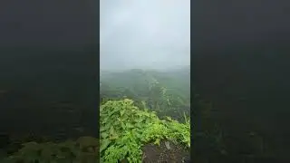 Trek for this view #sinhagadfort #mountains #monsoon #peace #maharashtra #viralshorts #trending