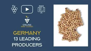 13 Leading wine producers | Germany 🍇 Online Wine Courses ➡️ with QUIZ