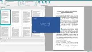 READIRIS 16 CONVERTIR PDF A WORD