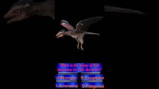 Ark Survival Evolved Quiz (p1)  #ark #arksurvivalevolved #quiz #games